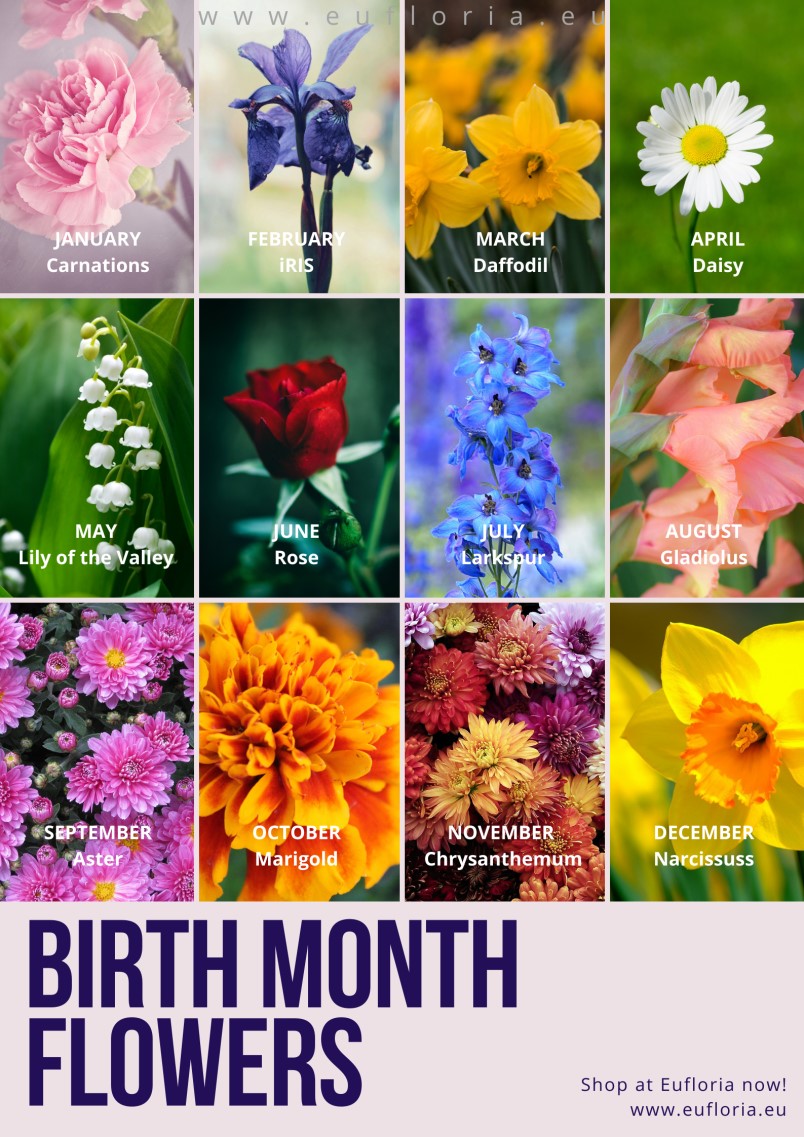 dravensynergy: Birth Month Flowers Canada / Canada Floral Delivery Blog ...